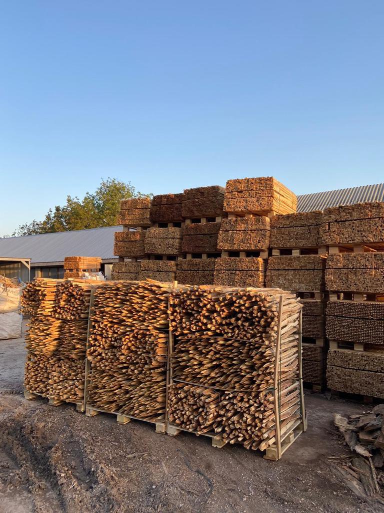 Đơn hàng xuất khẩu cọc gỗ keo sang thị trường Châu Âu