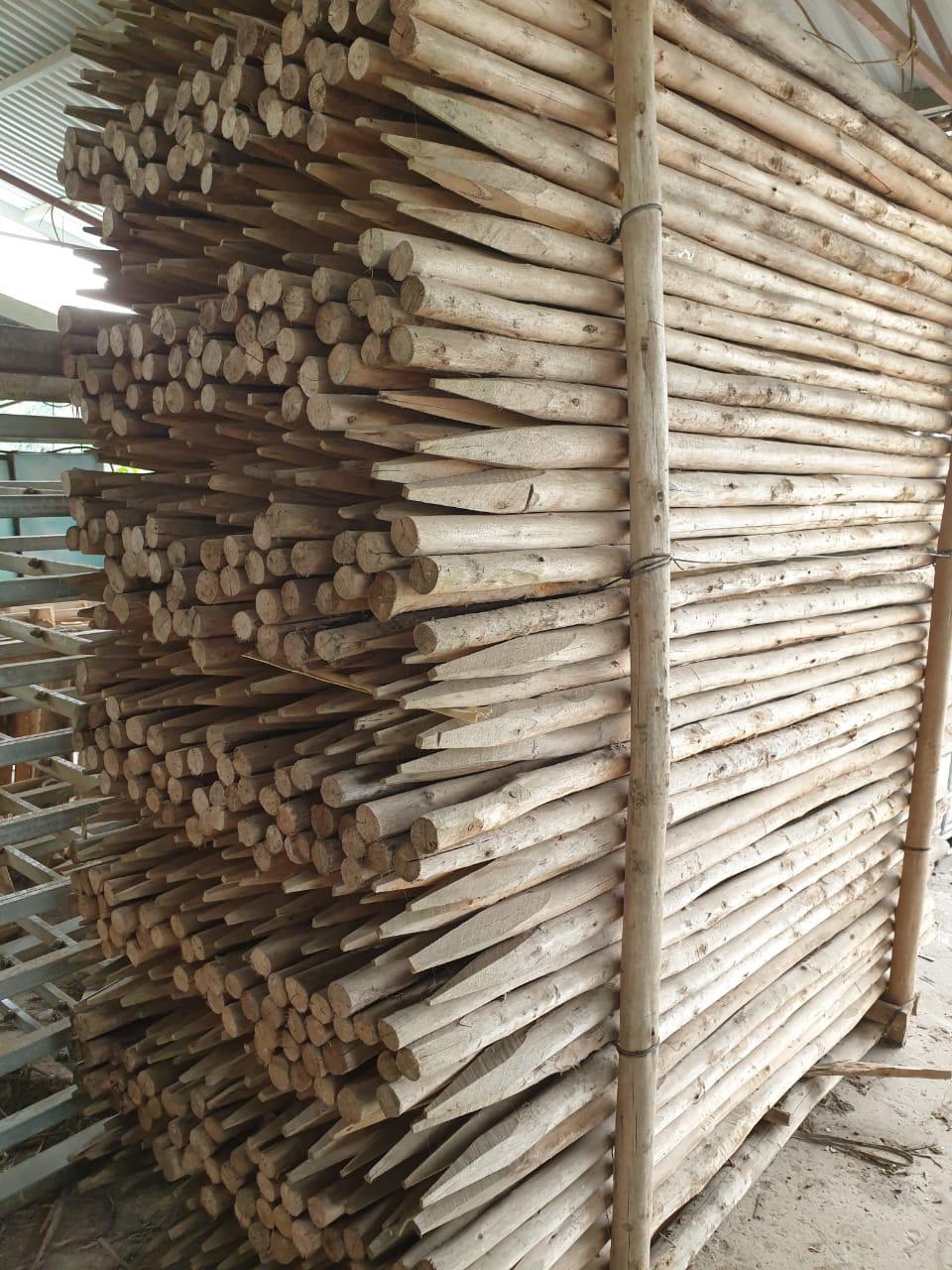 Đơn hàng xuất khẩu cọc gỗ sang thị trường Israel