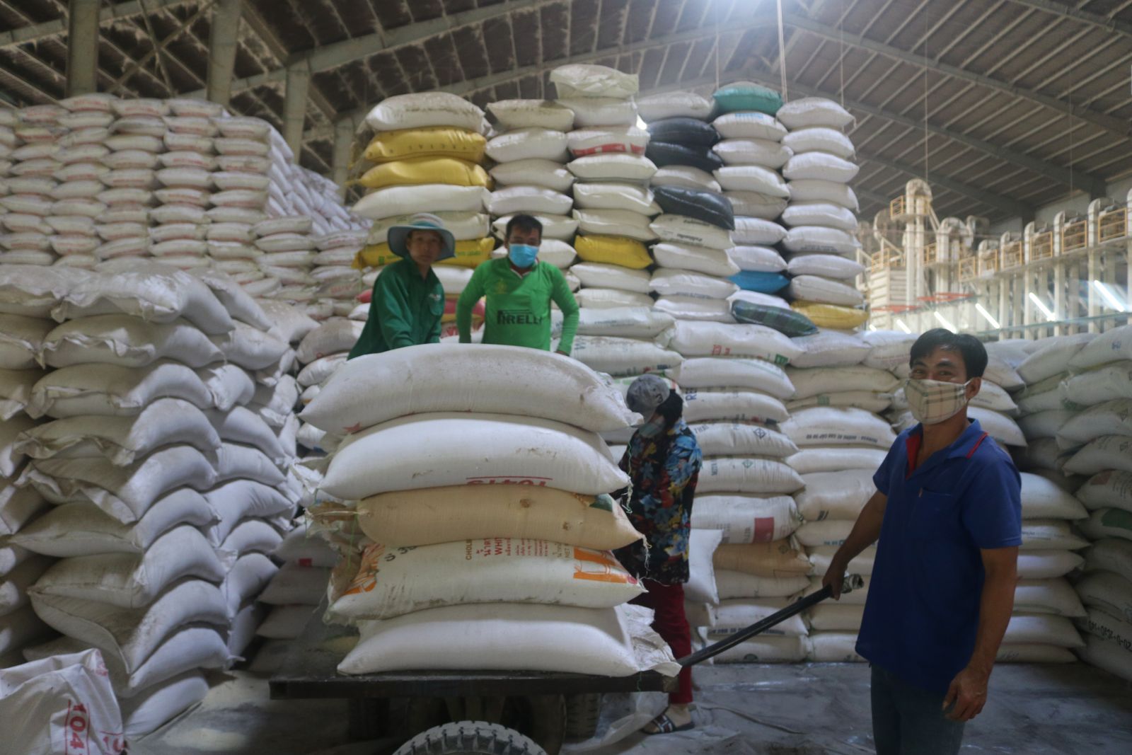 Đơn hàng xuất khẩu gạo sang thị trường Guinea