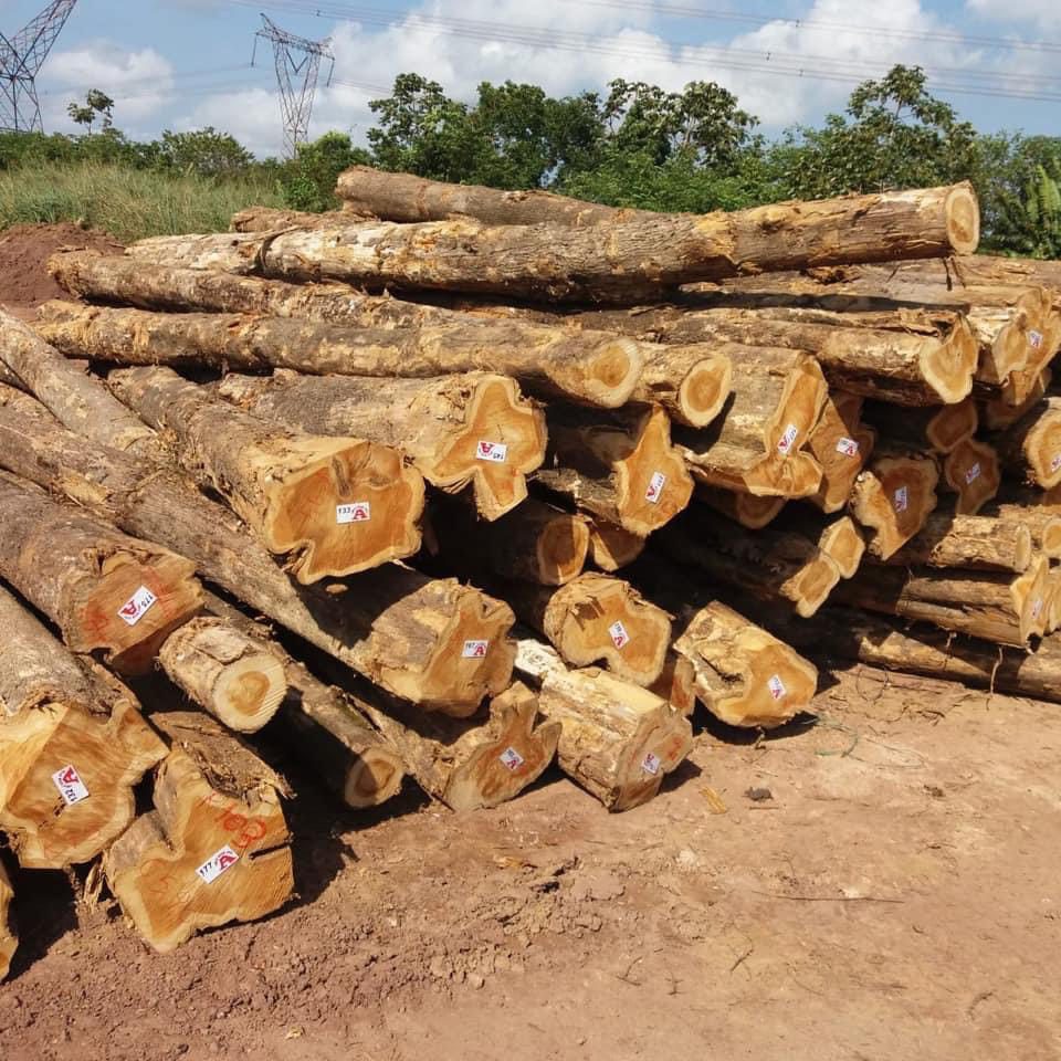 Đơn hàng xuất khẩu gỗ giả tỵ sang thị trường Ấn Độ GT02 - 150721