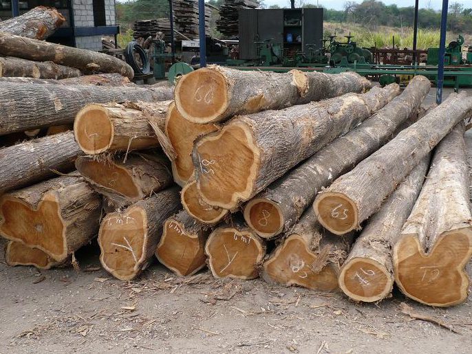 Đơn hàng xuất khẩu gỗ giả tỵ sang thị trường Đài Loan GT02-270821