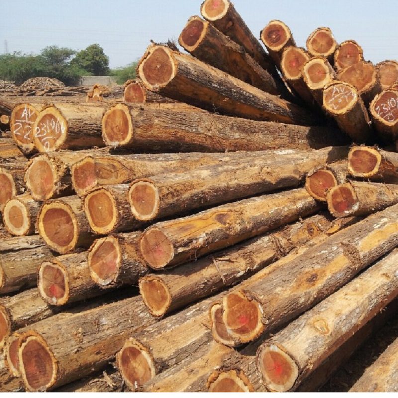 Đơn hàng xuất khẩu gỗ giả tỵ sang thị trường Đài Loan GT02-270821