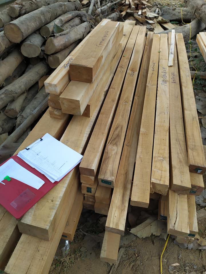 Đơn hàng xuất khẩu gỗ teak sang thị trường Papua New Guinea