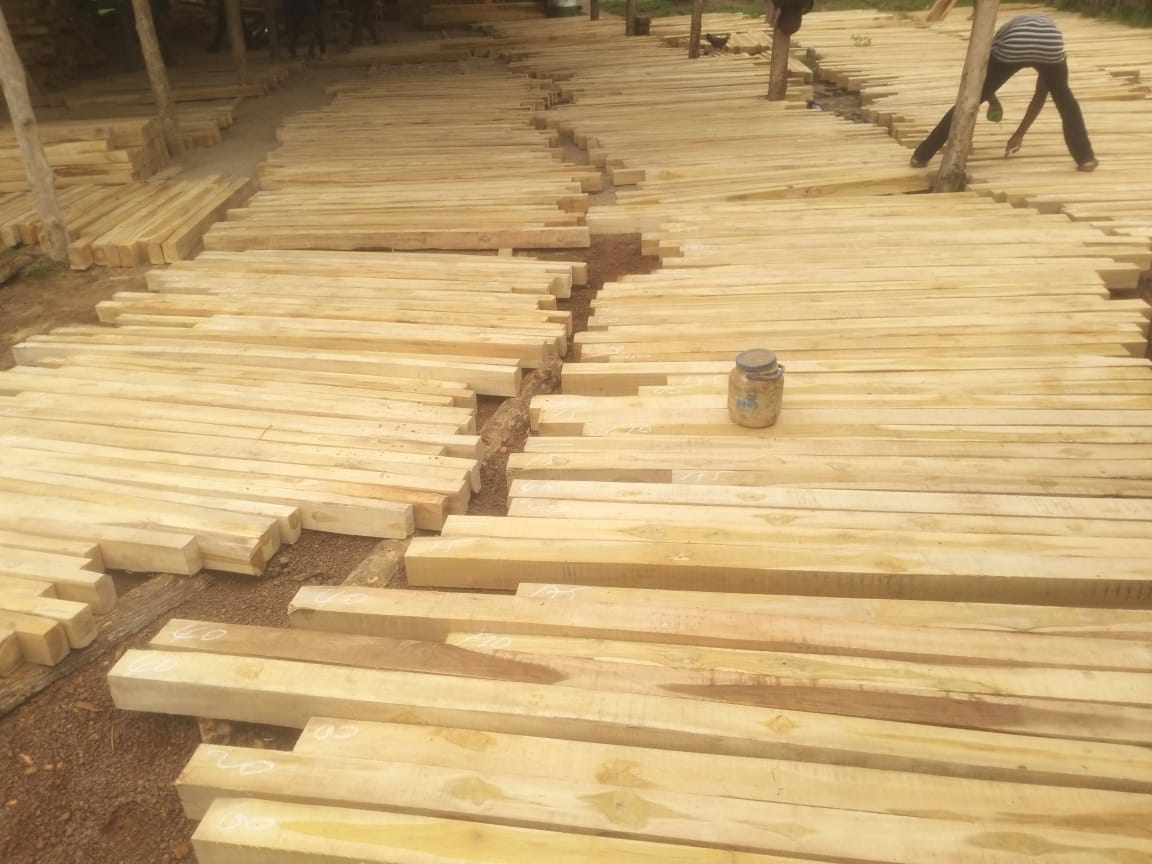 Đơn hàng xuất khẩu gỗ teak xẻ sang thị trường Ấn Độ GT01-151021