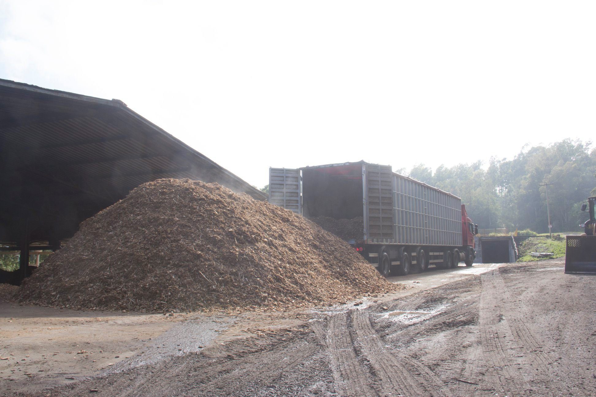 Đơn hàng xuất khẩu gỗ vụn sang thị trường Trung Quốc GV01-240621