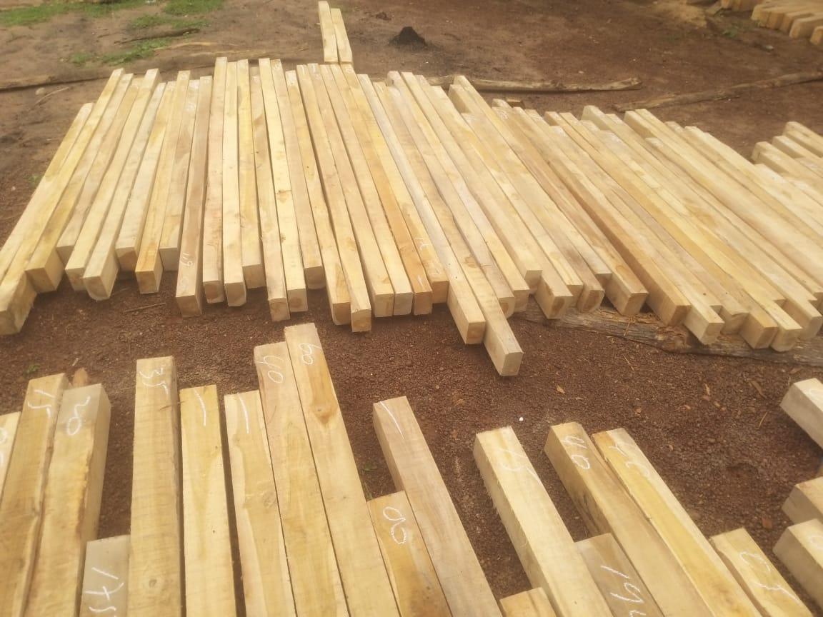 Đơn hàng xuất khẩu gỗ xẻ thanh sang thị trường Maldives GT01-071021 