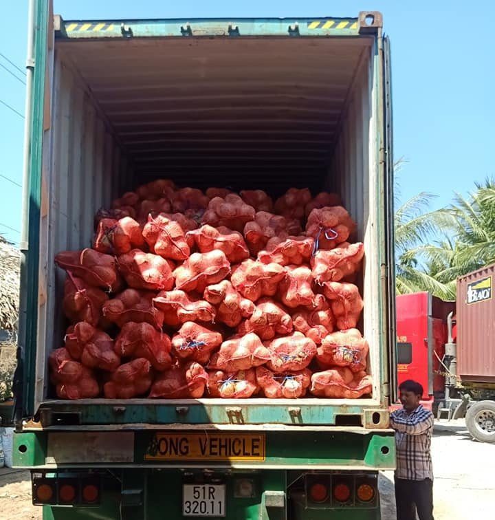 Đơn hàng xuất khẩu dừa khô sang thị trường Nam Phi DK01-240821