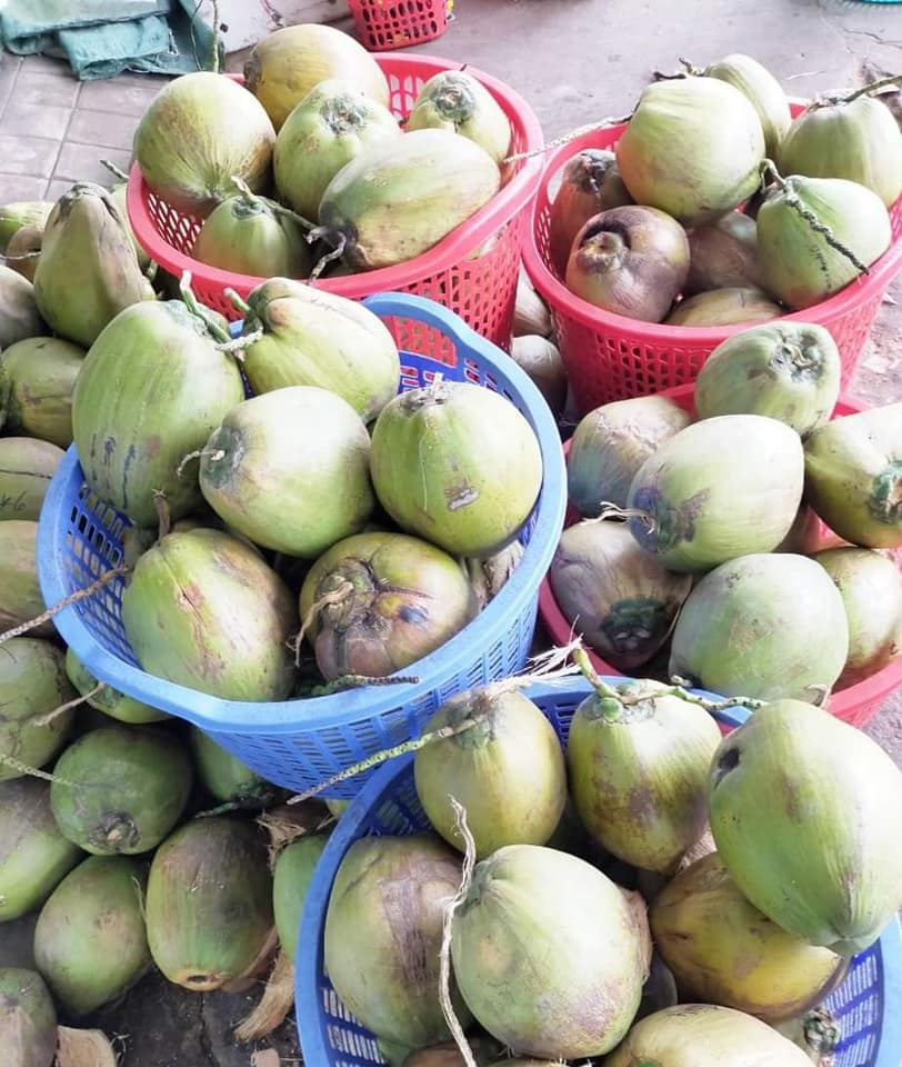 Đơn hàng xuất khẩu dừa sang thị trường Ai Cập D02-030921