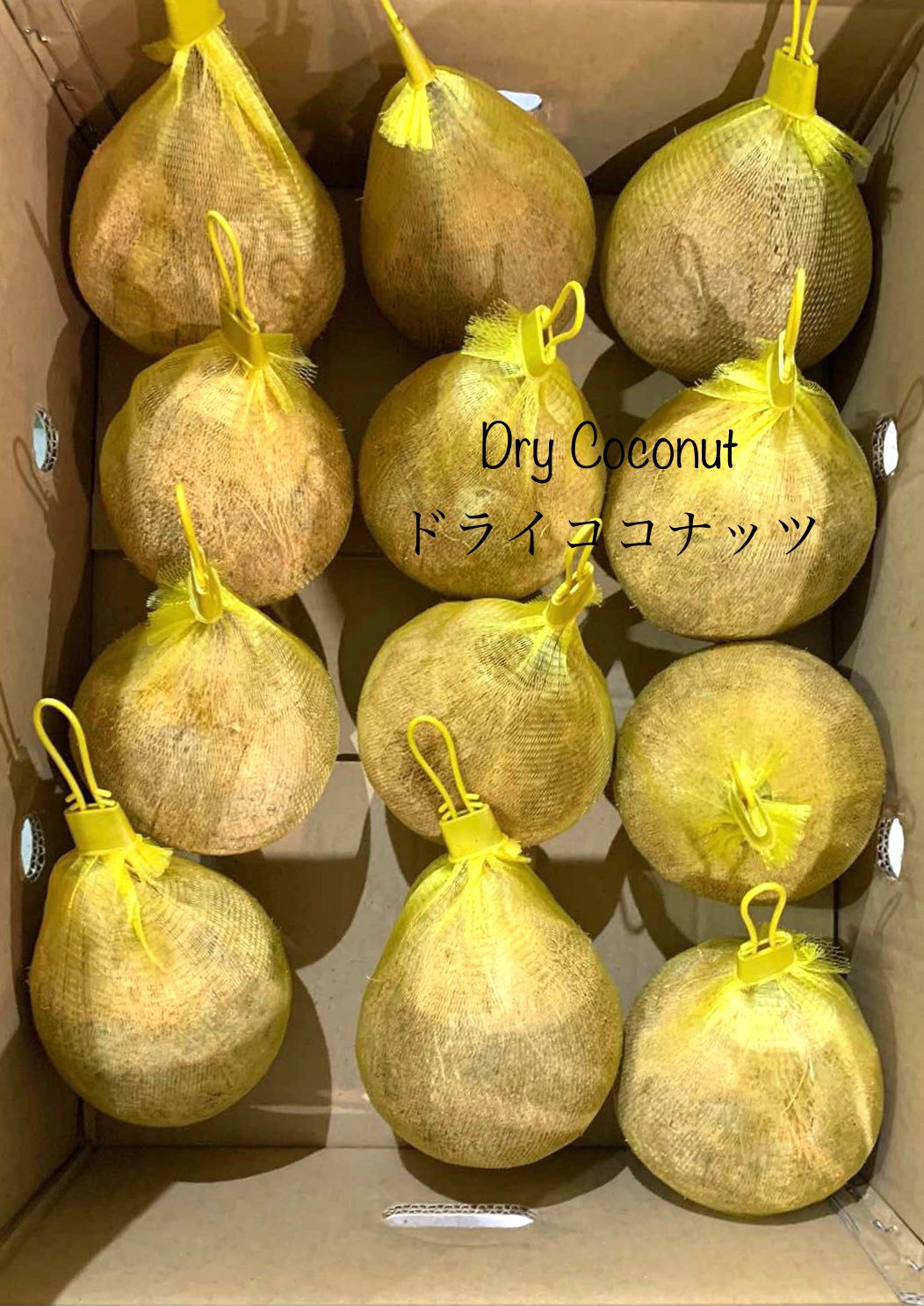 Đơn hàng xuất khẩu dừa tươi và khô sang thị trường Nhật Bản D01-031021