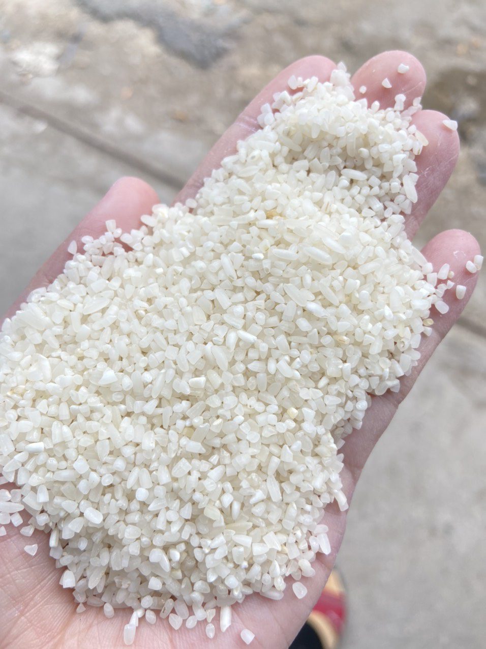 Đơn hàng xuất khẩu gạo sang thị trường Trung Quốc GT01-260821