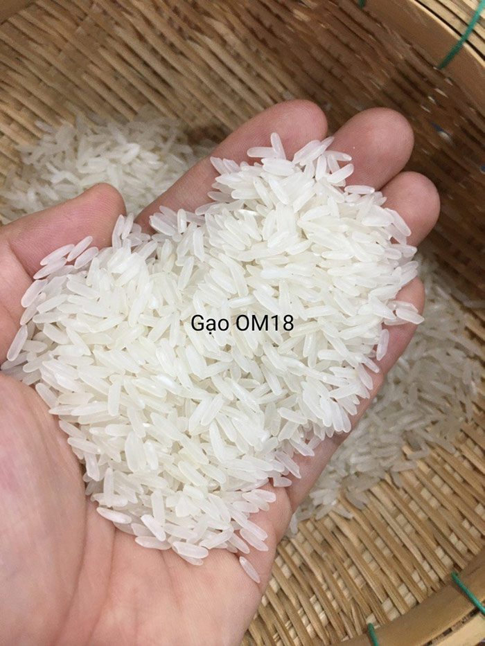 Đơn hàng xuất khẩu Gạo trắng hạt dài sang thị trường Libya G01-251121