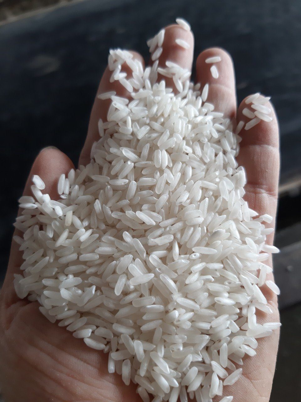 Đơn hàng xuất khẩu gạo trắng hạt dài sang thị trường Togo G01-121021
