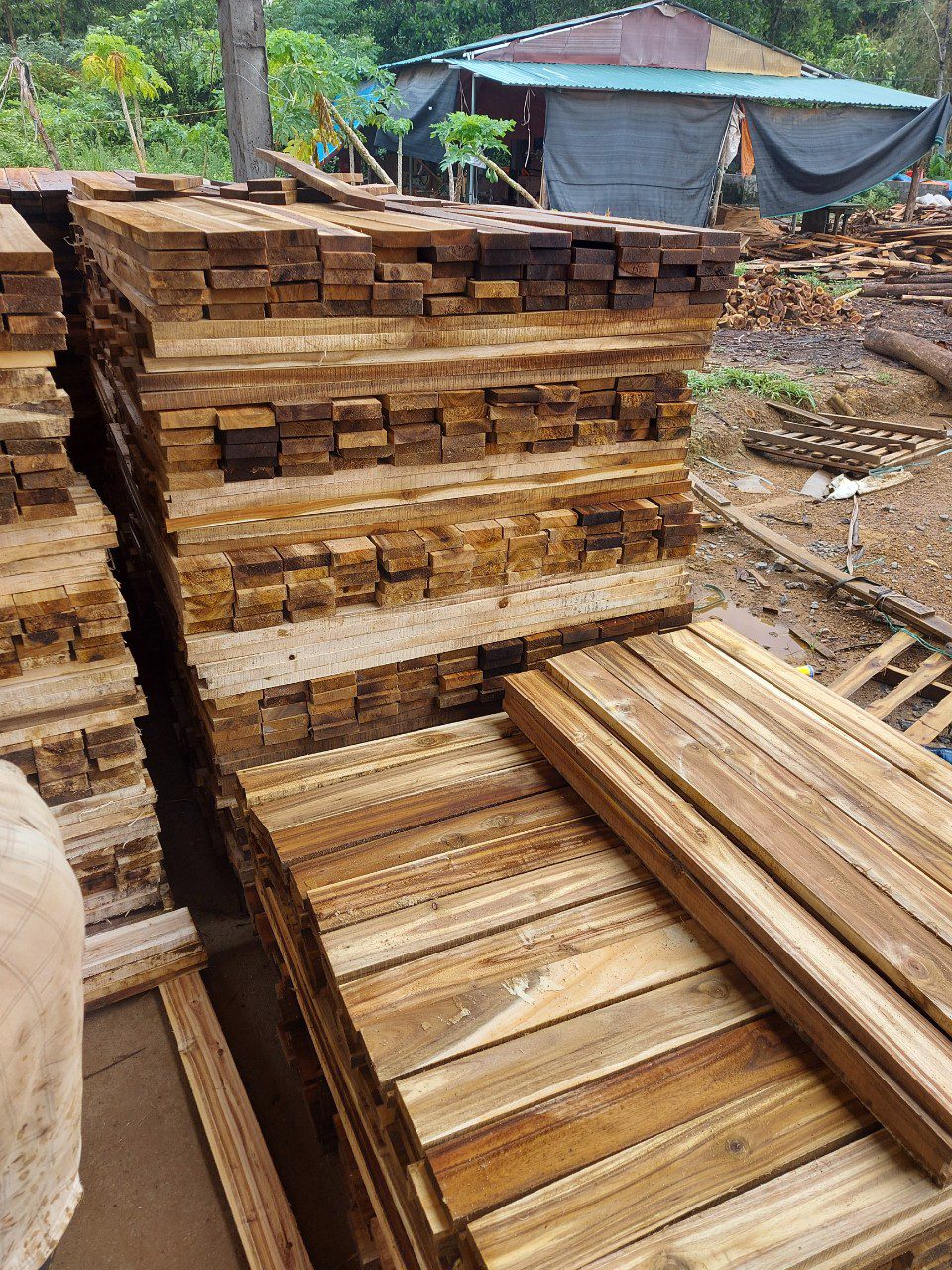 Đơn hàng xuất khẩu gỗ keo xẻ sang thị trường Philippine GK01-170721