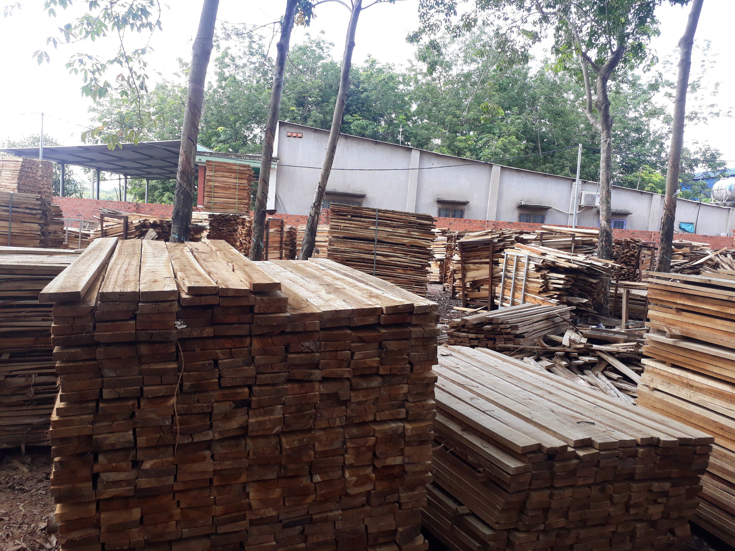 Đơn hàng xuất khẩu gỗ keo xẻ sang thị trường Sri Lanka GK02-070621
