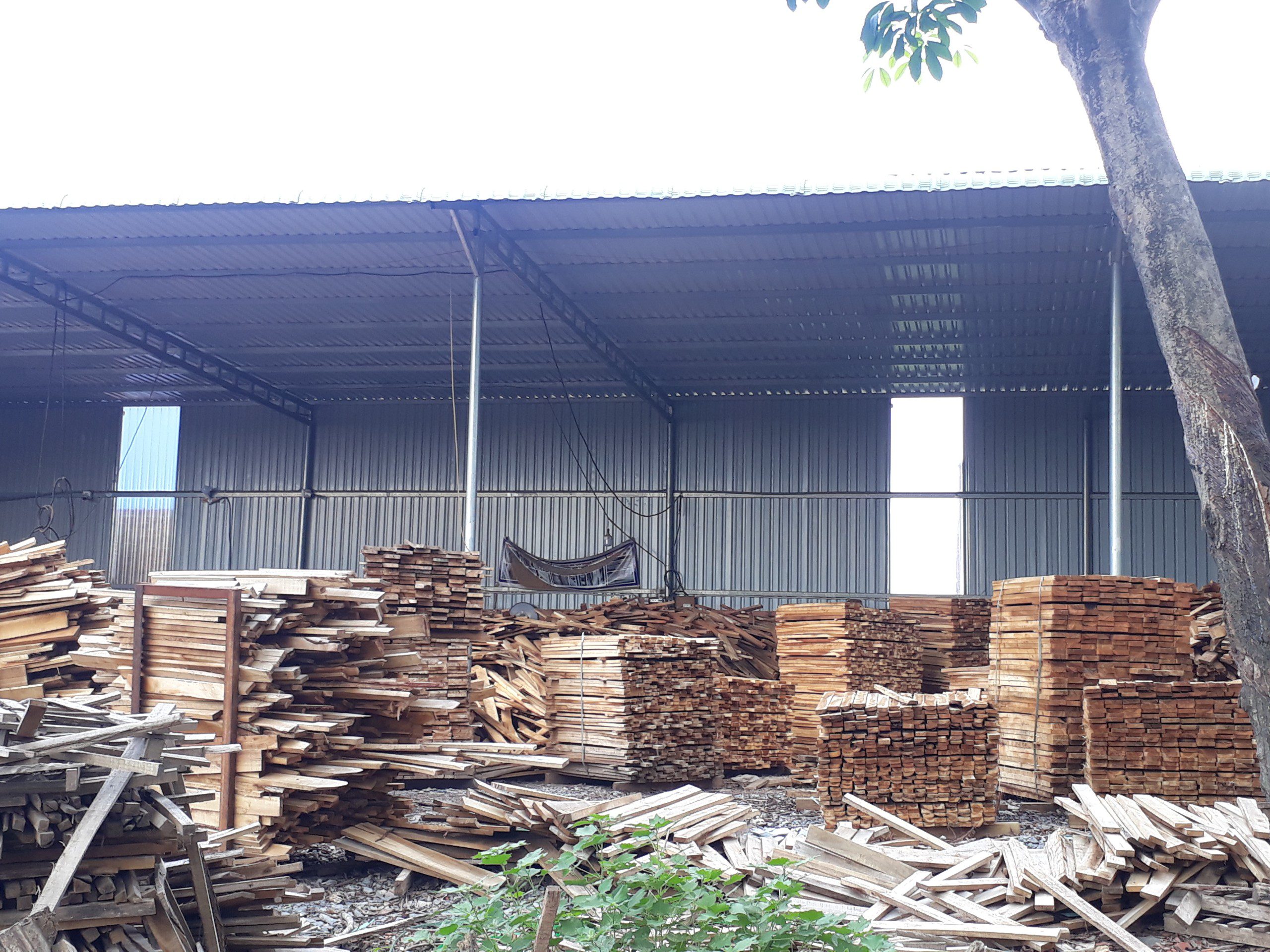 Đơn hàng xuất khẩu gỗ keo xẻ sang thị trường UAE GK01-070621
