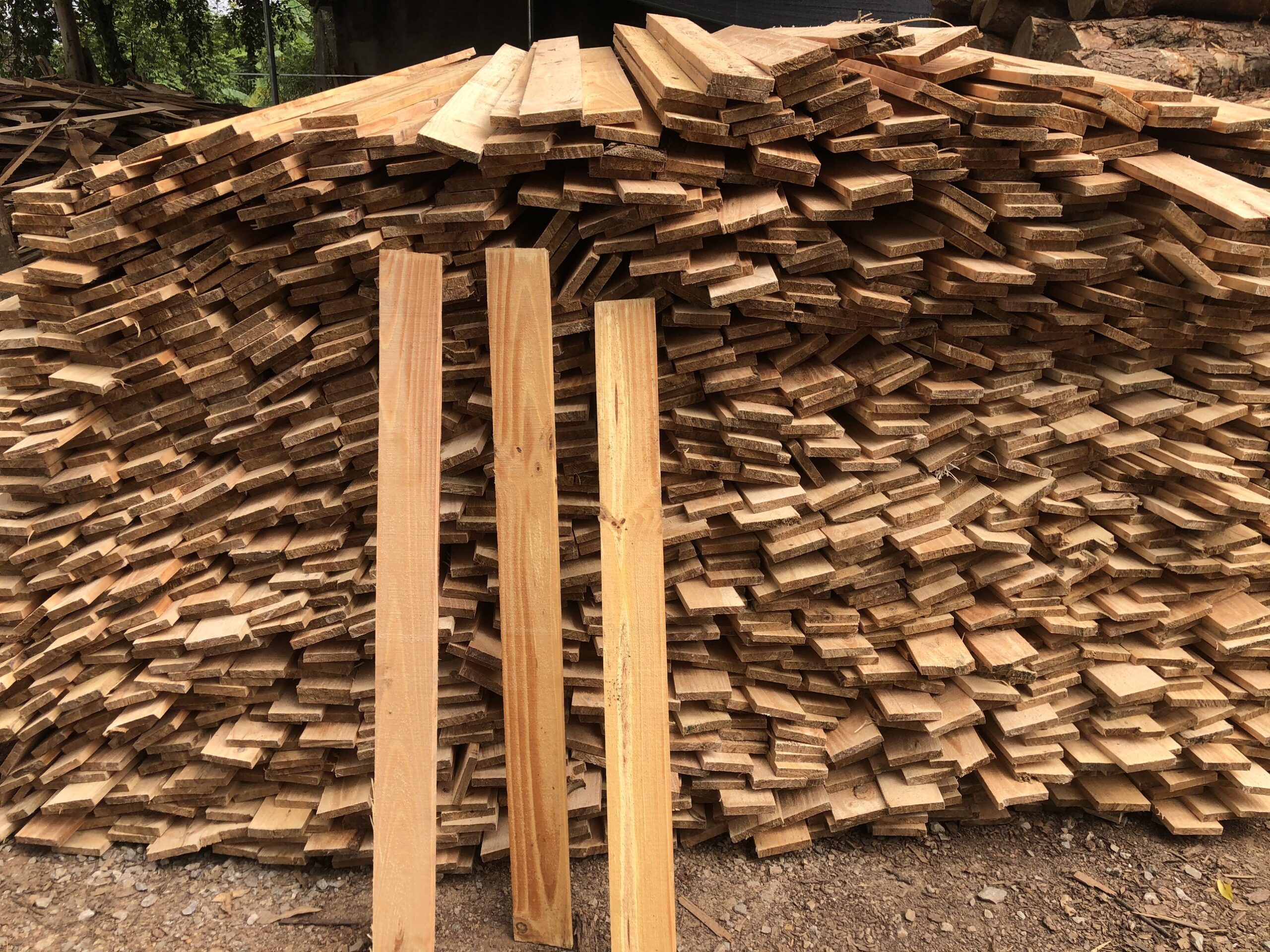 Đơn hàng xuất khẩu gỗ thông xẻ sang thị trường Sri Lanka GT01-231021