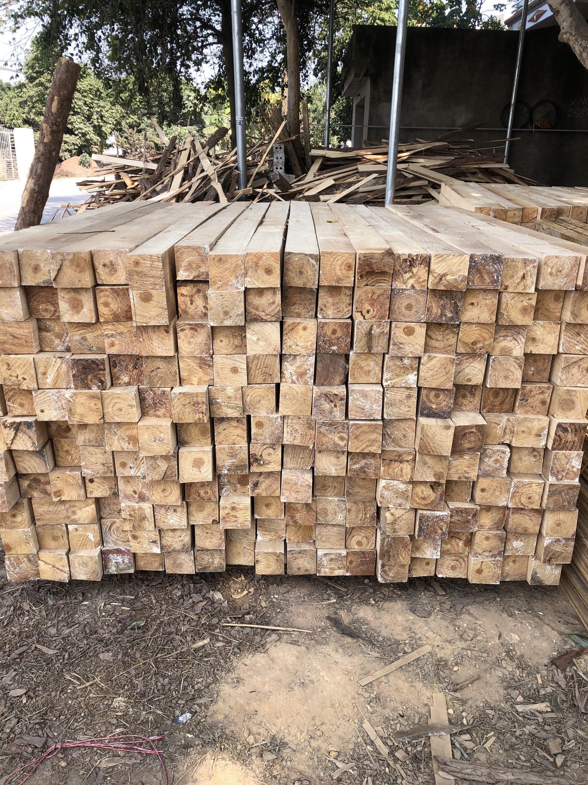 Đơn hàng xuất khẩu gỗ thông xẻ sang thị trường Úc GT01-121021