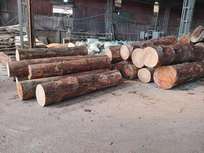 Đơn hàng xuất khẩu Gỗ Thông tròn và Vụn gỗ sang thị trường Trung Đông VG01-161121