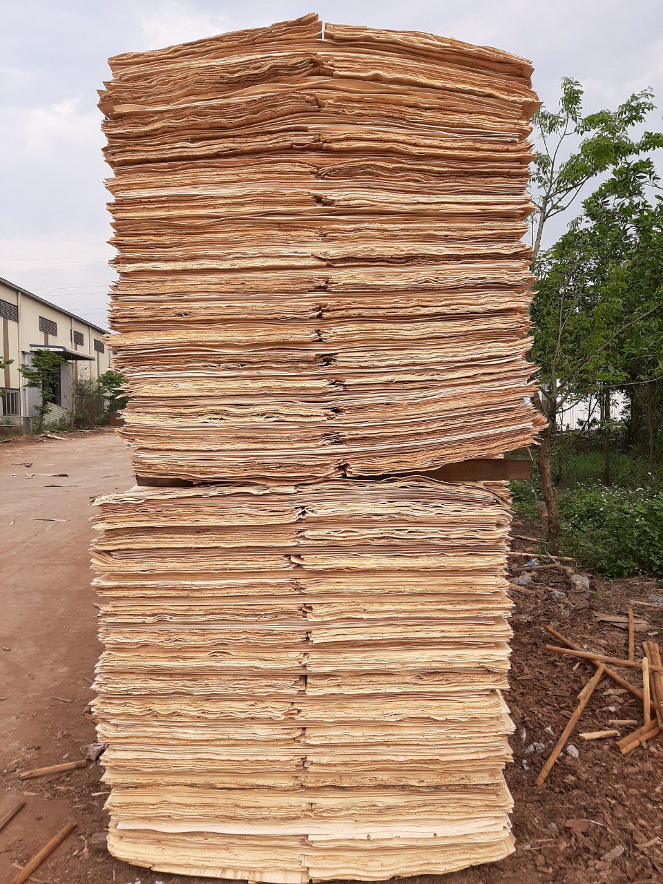 Đơn hàng xuất khẩu ván bóc gỗ cao su sang Trung Quốc VB01-301021