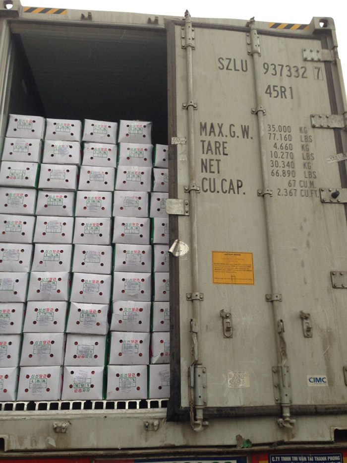 Đơn hàng xuất khẩu Cà rốt sang thị trường Hàn Quốc CR01-061221