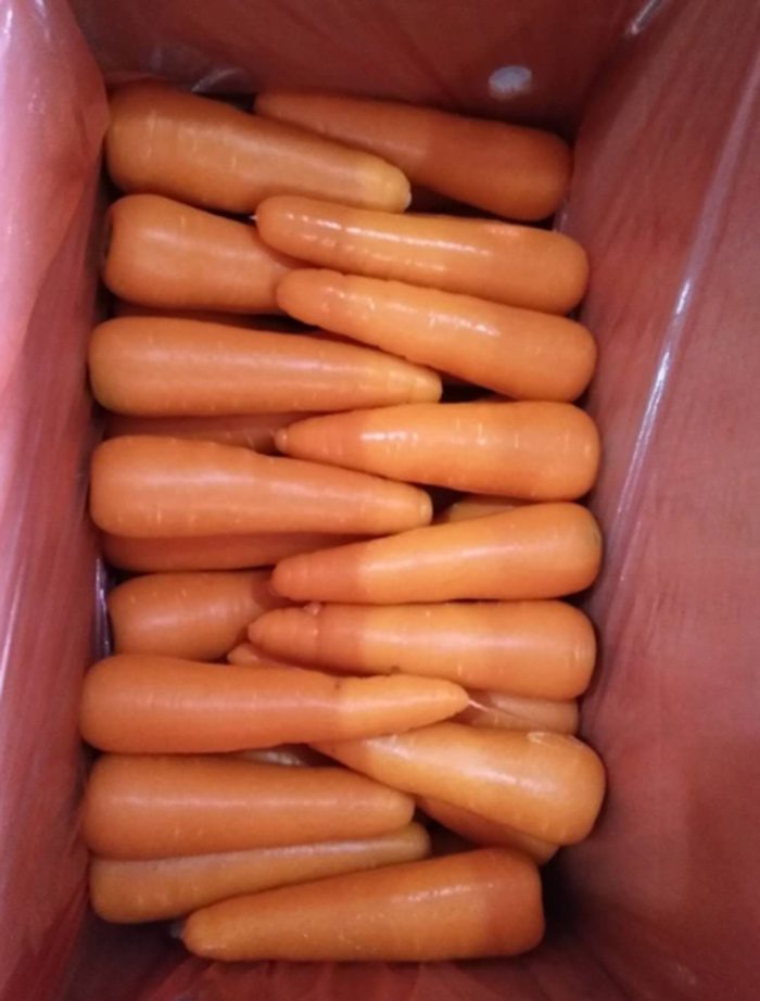 Đơn hàng xuất khẩu Cà rốt sang thị trường Hàn Quốc CR01-061221