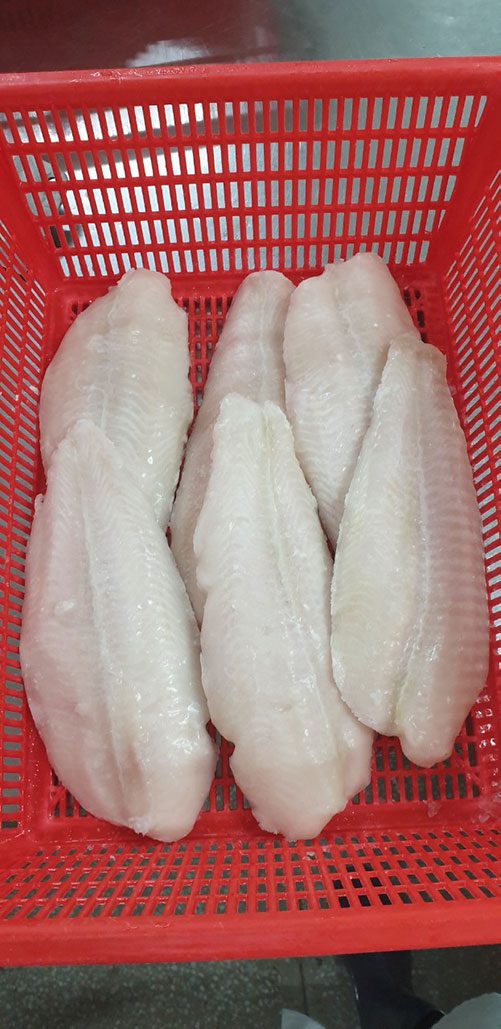Đơn hàng xuất khẩu Phi lê cá basa sang thị trường BS01-271221