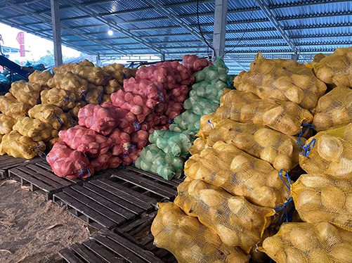 Đơn hàng xuất khẩu Dừa khô sang thị trường Bangladesk D01-240122