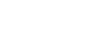 Logo Topcargo