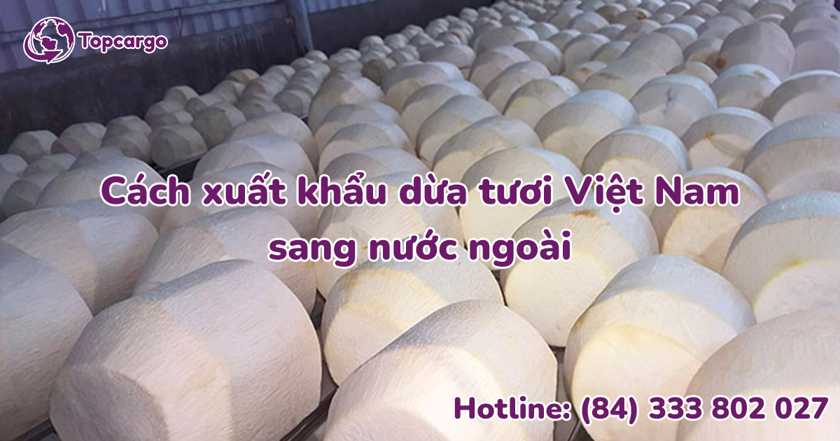 Cách xuất khẩu dừa tươi Việt Nam sang nước ngoài