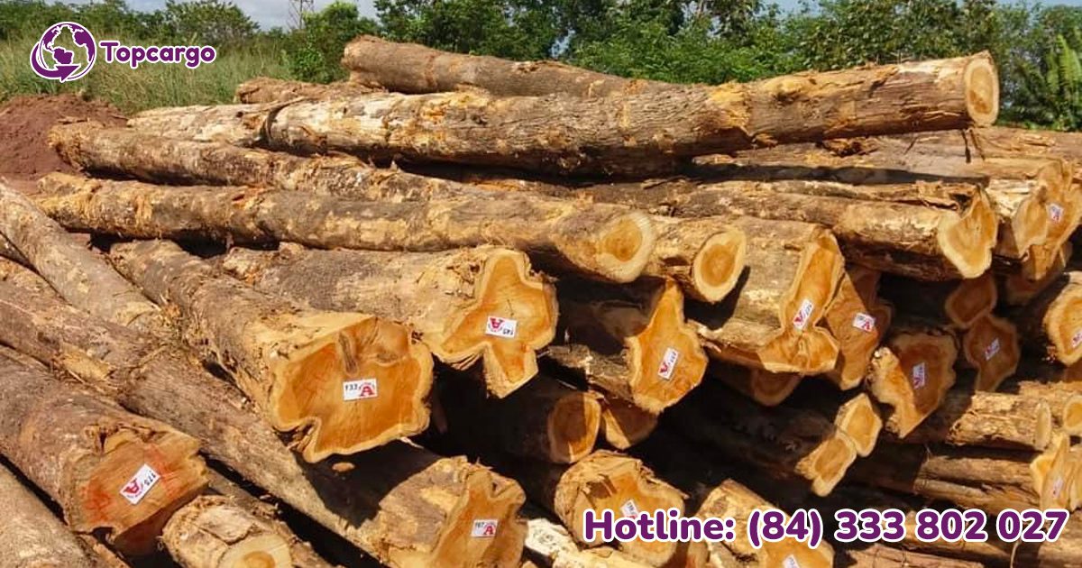 Đơn hàng xuất khẩu gỗ giả tỵ sang thị trường Ấn Độ GT02 - 150721