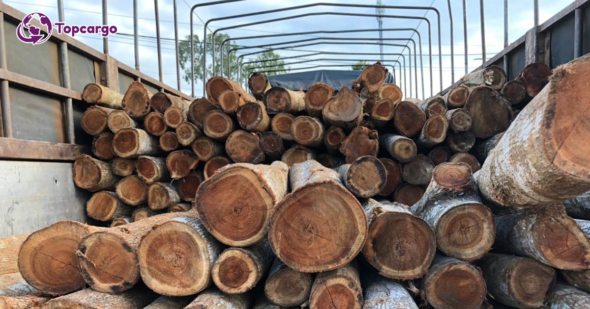 Tư vấn xuất khẩu gỗ keo sang thị trường nước ngoài -Top Cargo