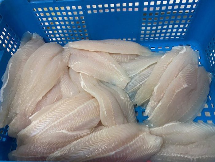 Đơn hàng xuất khẩu Phi lê cá tra đông lạnh sang thị trường Quatar CT01- 230222