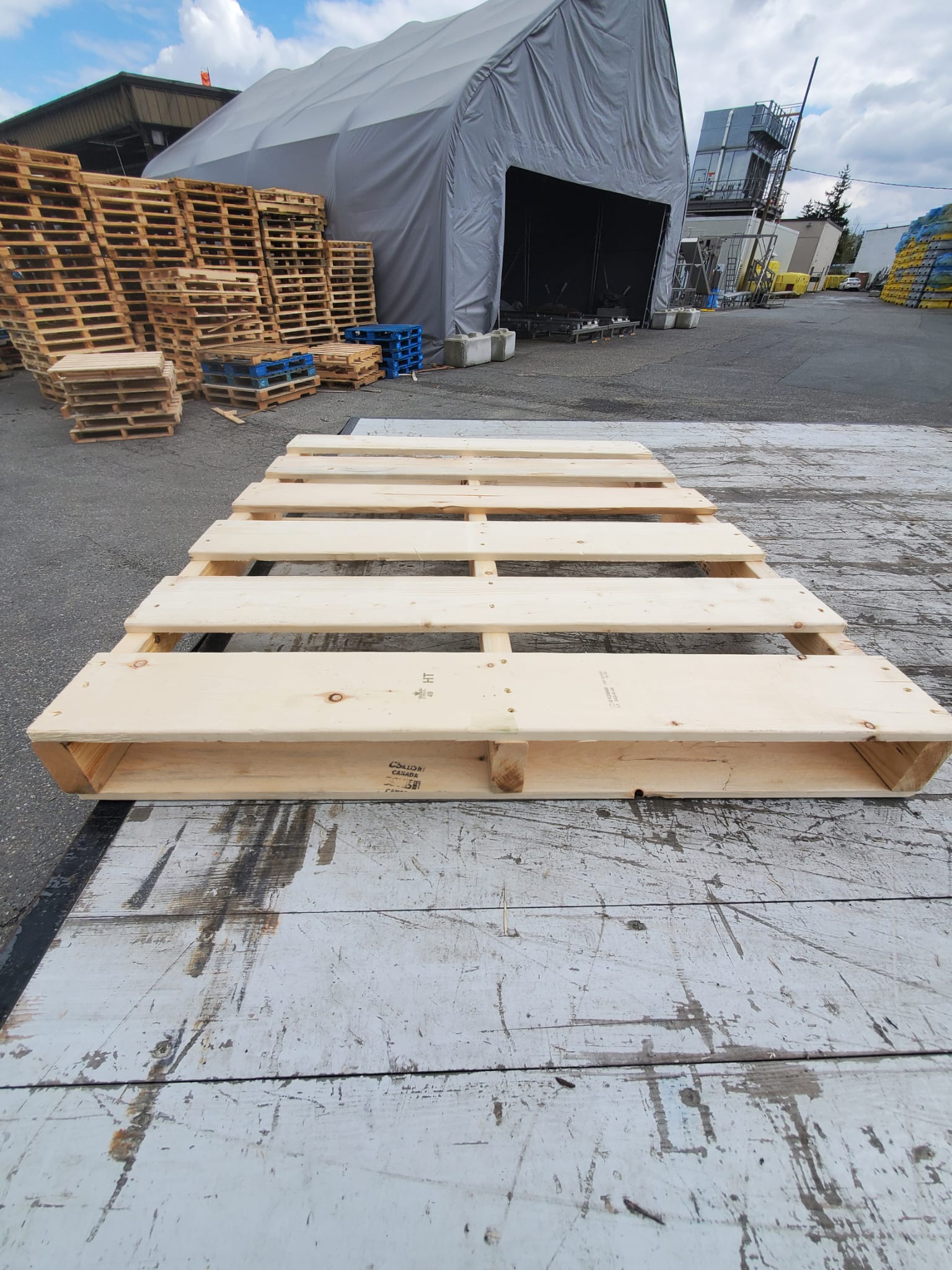 Đơn hàng xuất khẩu 5000 Pallet gỗ thông sang thị trường Canada G-PL01-27D22