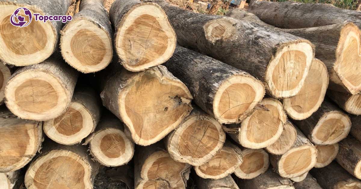 hàng xuất khẩu gỗ Teak tròn sang Cộng Hòa Séc G-GT01-31E22