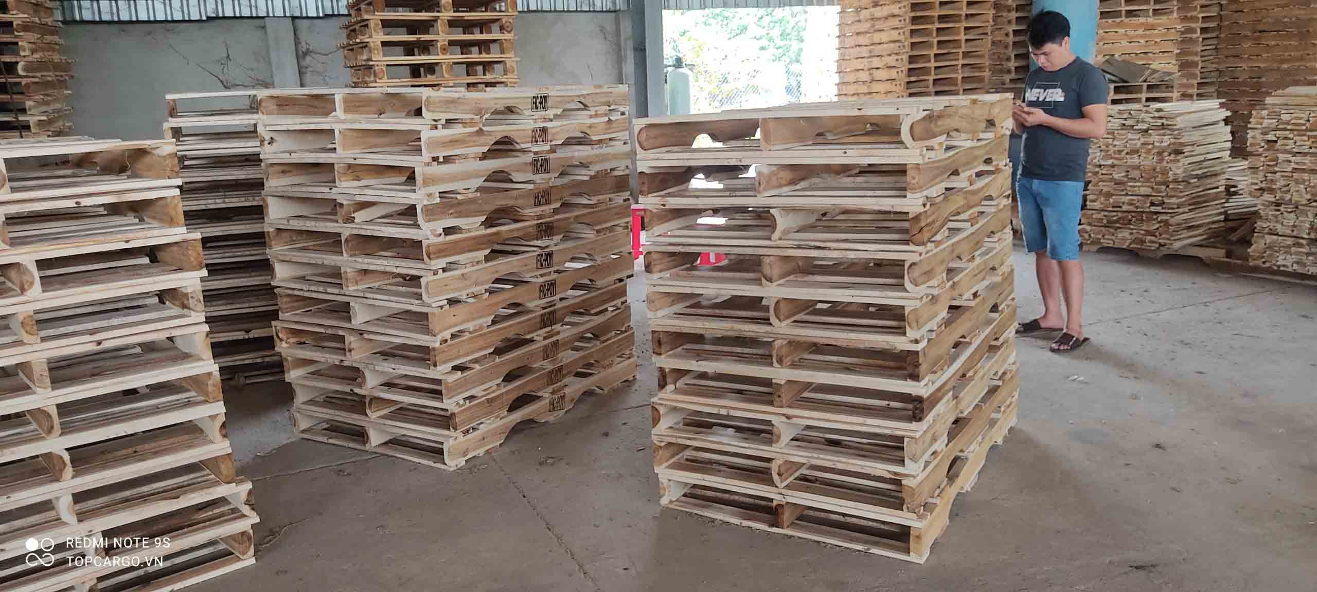 Cơ hội xuất khẩu 6.000 Pallet gỗ keo sang Hoa Kỳ G-PL01-09F22