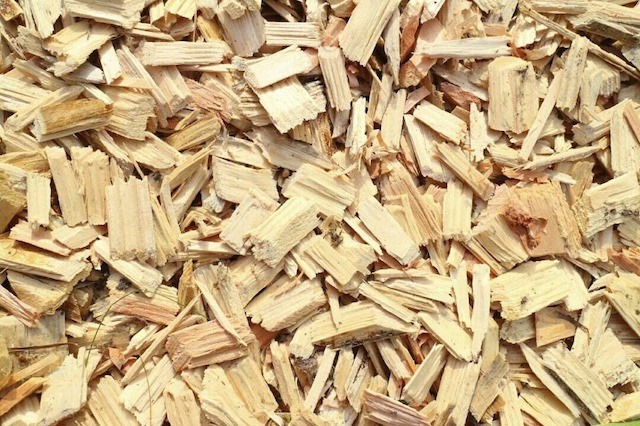 Cơ hội xuất khẩu Vụn gỗ sang thị trường Ả Rập Xê Út G-VG01-08F22