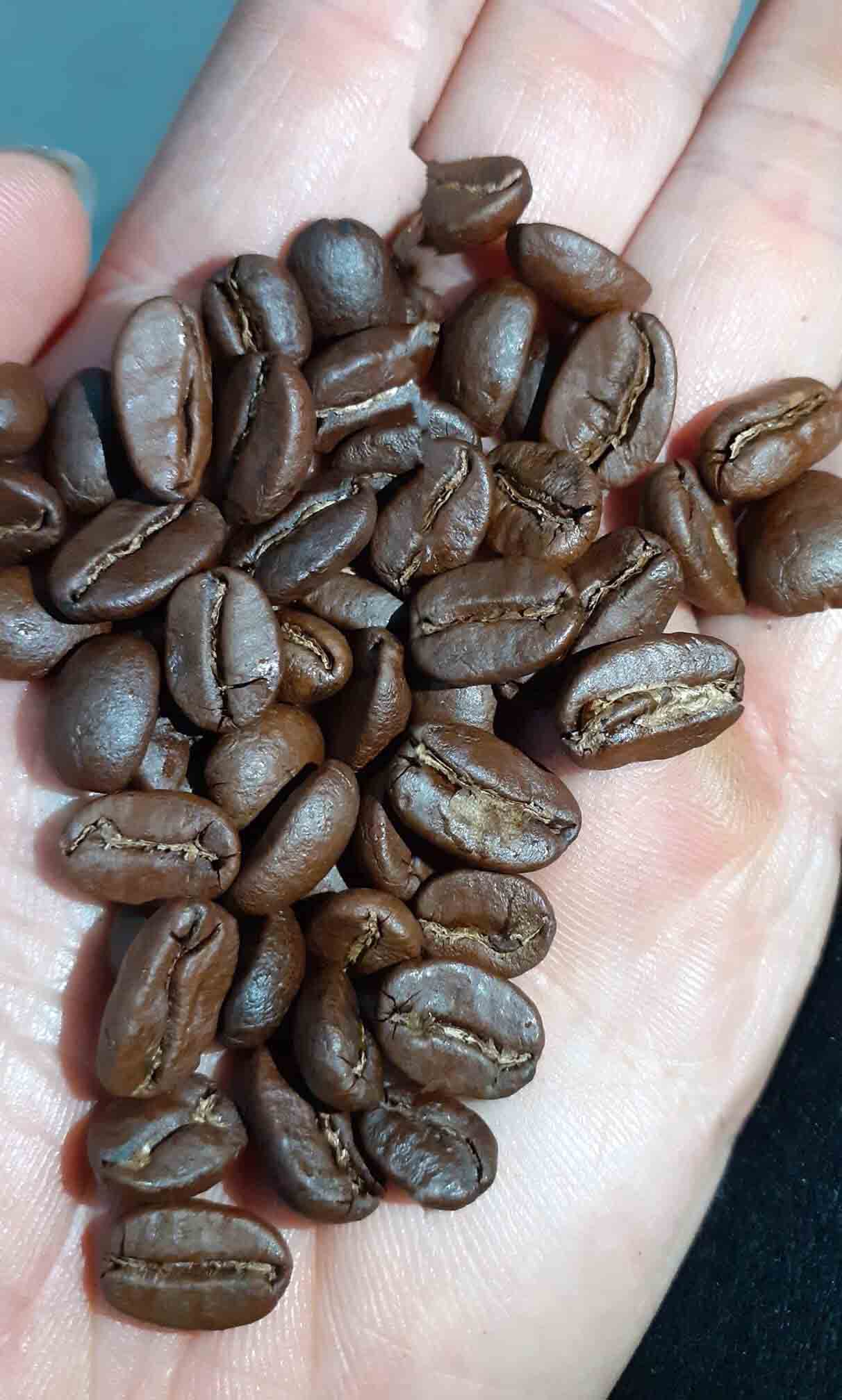 Cơ hội xuất khẩu Hạt cà phê rang sang thị trường Oman NS-CP01-21F22