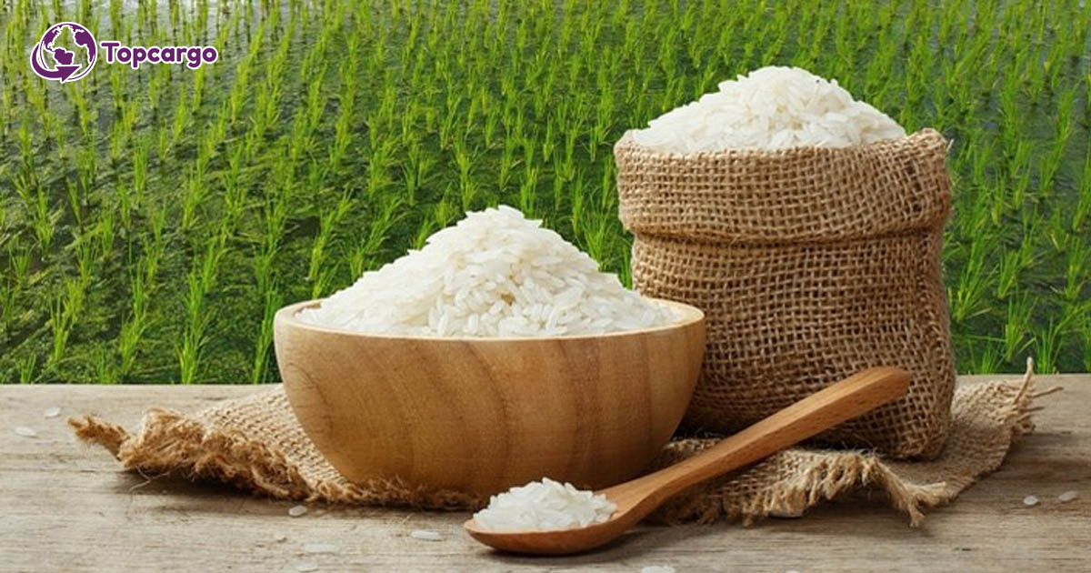 Cơ hội xuất khẩu Gạo sang thị trường Haiti NS-G01-10F22