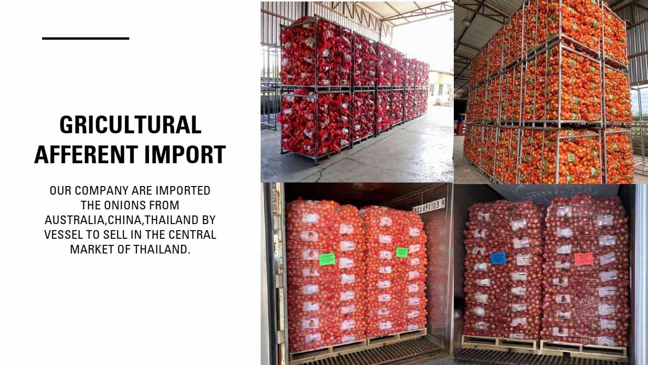 Đơn hàng xuất khẩu Nông sản sang thị trường Thái Lan NS-NS01-02F22