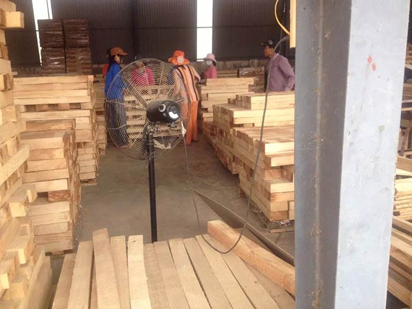 Cơ hội xuất khẩu gỗ cao su xẻ sang thị trường Pakistan G-CS01-19J22