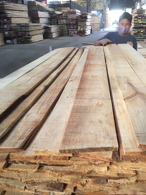 Cơ hội xuất khẩu gỗ tạp sang thị trường Maldives G-GT1-20J22