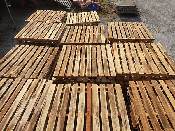 Cơ hội xuất khẩu Pallet gỗ sang thị trường Úc G-PL01-07J22