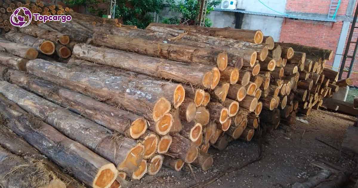 Cơ hội xuất khẩu gỗ teak tròn sang thị trường Bangladesh G-TT01-18J22