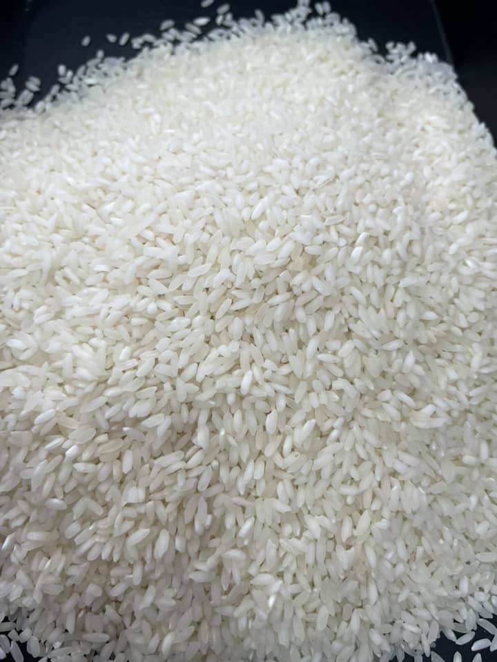 Cơ hội xuất khẩu Gạo sang thị trường Mông Cổ NS-G01-04J22