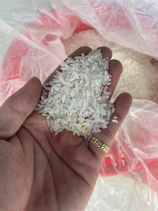 Cơ hội xuất khẩu Gạo dẻo sang thị trường Gambia NS-G01-12J22