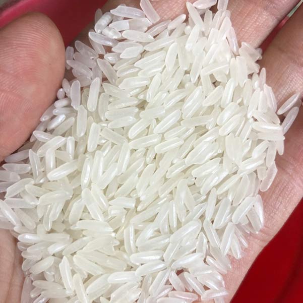 Cơ hội xuất khẩu Gạo dẻo sang thị trường Gambia NS-G01-12J22