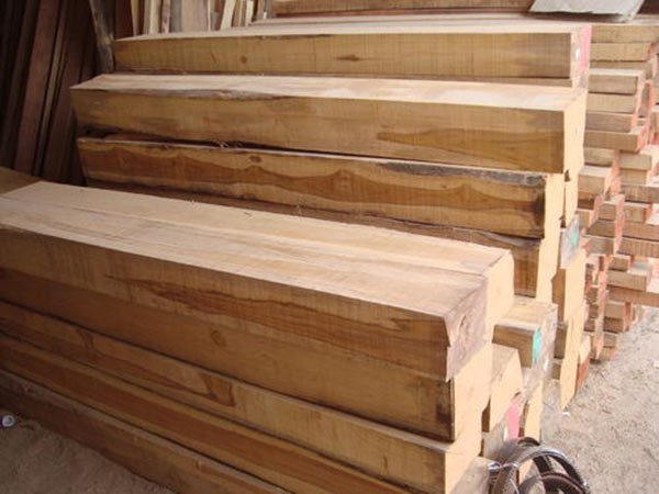 Cơ hội xuất khẩu gỗ teak xẻ thanh sang thị trường Ấn Độ G-TX01-04K22