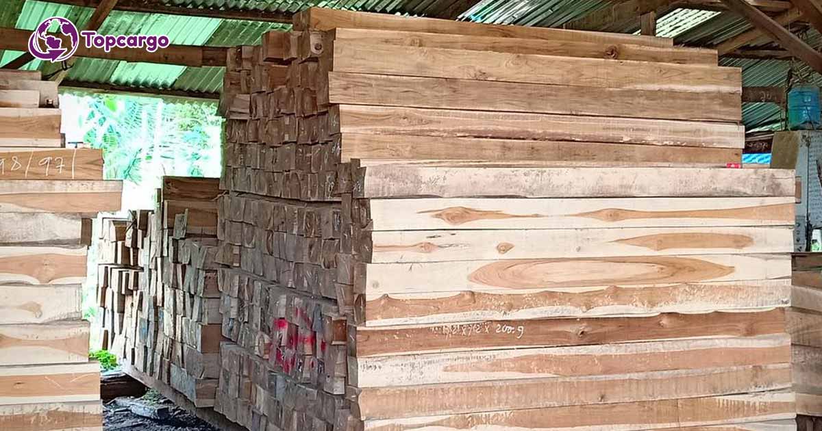 Cơ hội xuất khẩu gỗ teak xẻ thanh sang thị trường Ấn Độ G-TX01-04K22