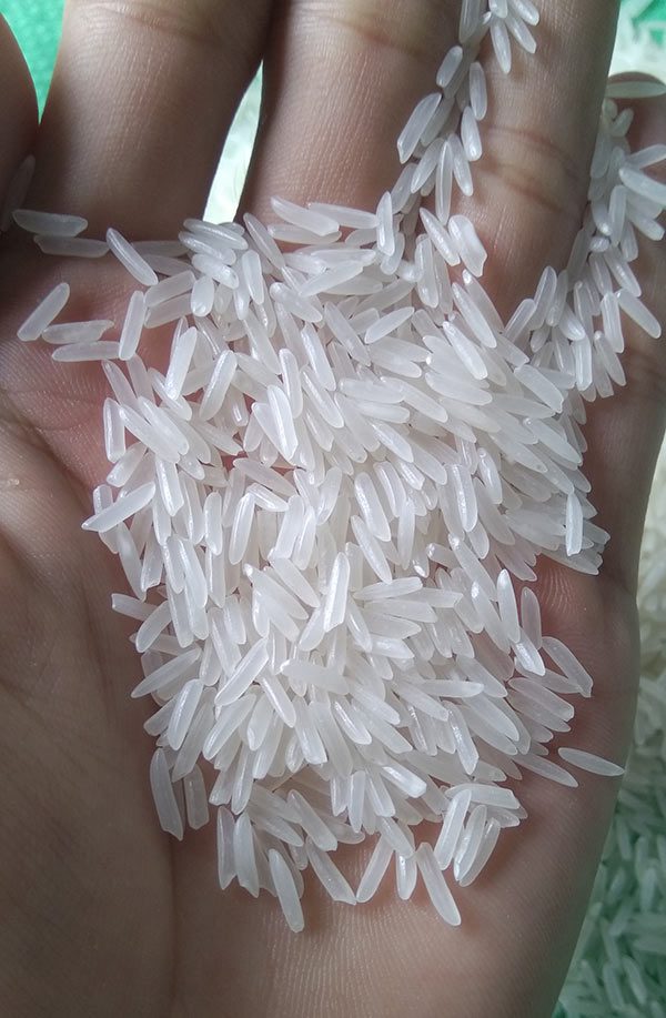 Cơ hội xuất khẩu gạo sang thị trường Nga NS-G01-04K22