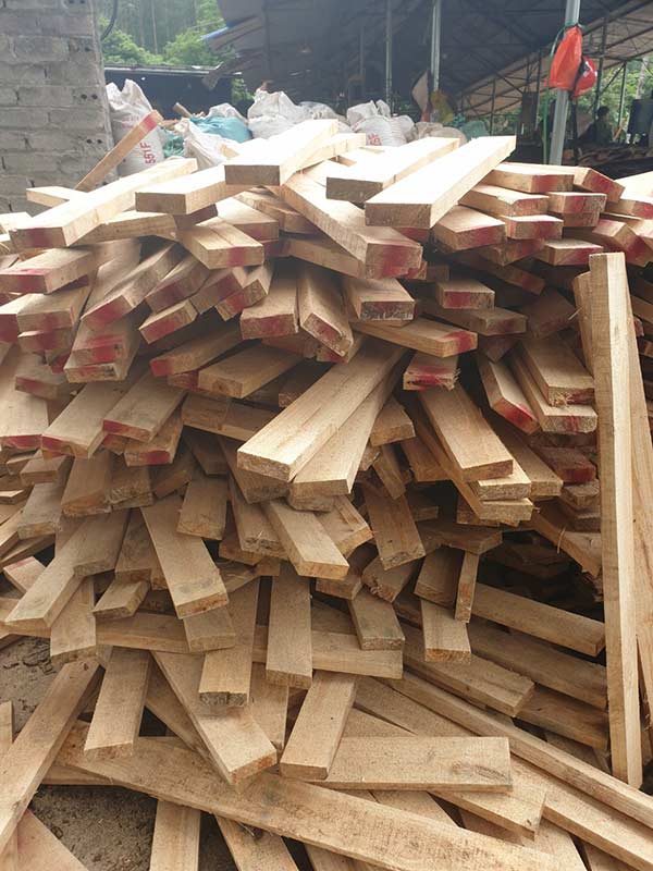 Cơ hội xuất khẩu gỗ thông xẻ sang thị trường Canada G-THX01-28L22